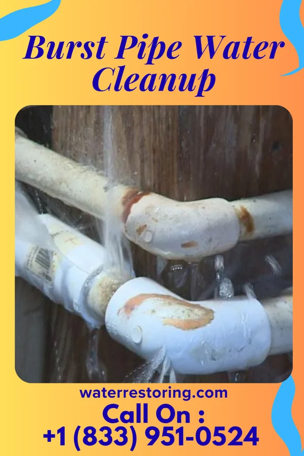 Burst Pipe Water Cleanup in Decatur, IN